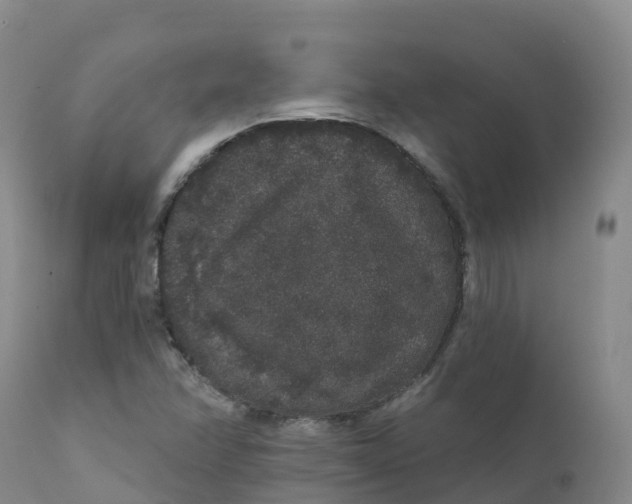 X0000111831358200908131536