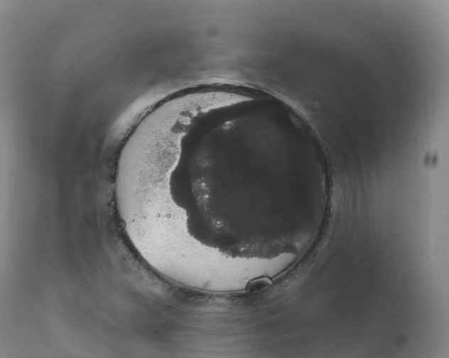 X0000111831359200908131536