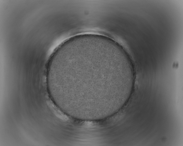 X0000111831360200908131536