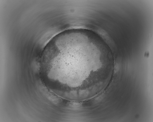 X0000111831361200908131536