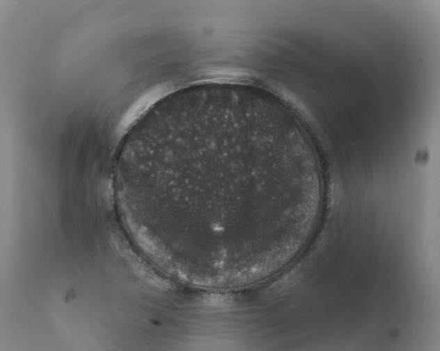 X0000111831362200908131536