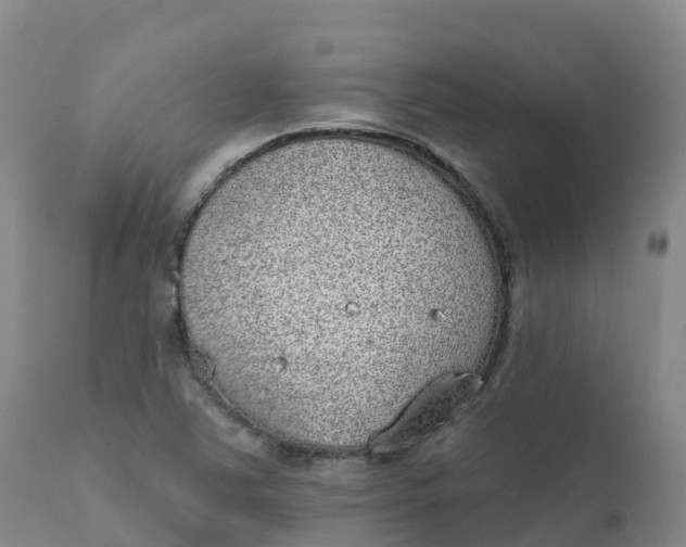 X0000111831363200908131536