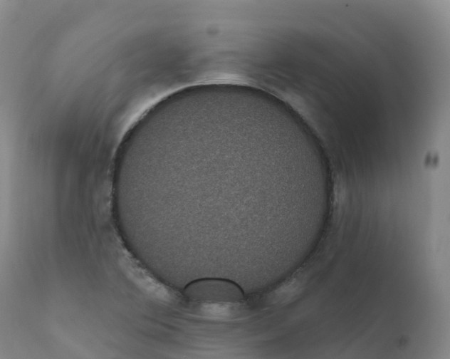 X0000111831364200908131536