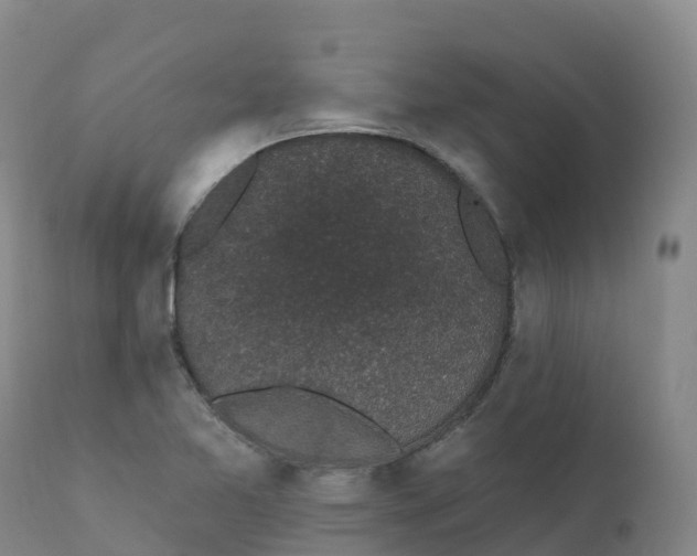 X0000111831365200908131536