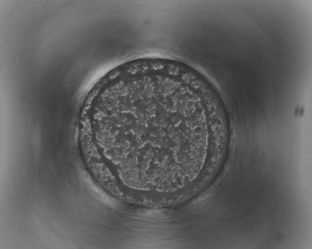 X0000111831367200908131536