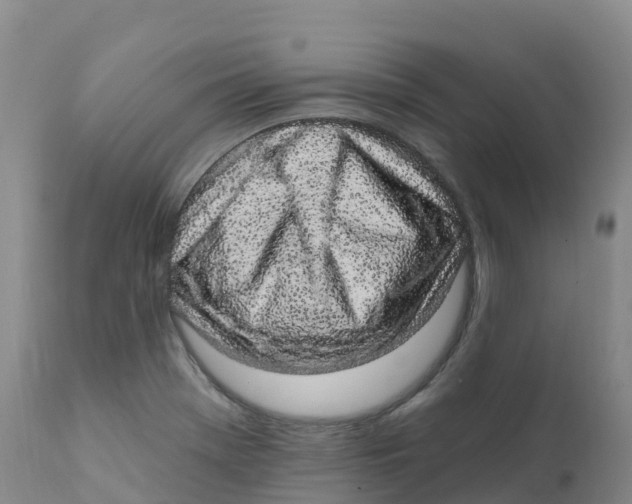 X0000111831369200908131536