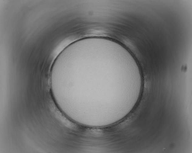 X0000111831370200908131536