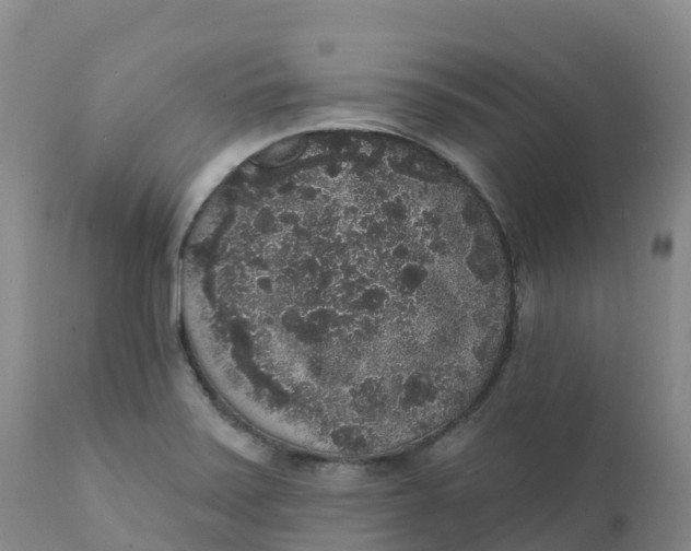 X0000111831371200908131536