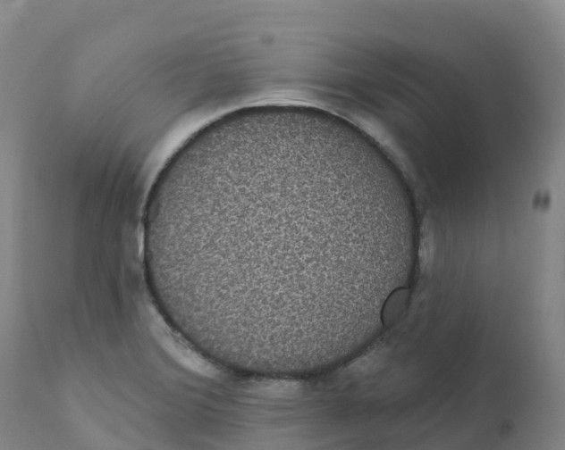 X0000111831372200908131536