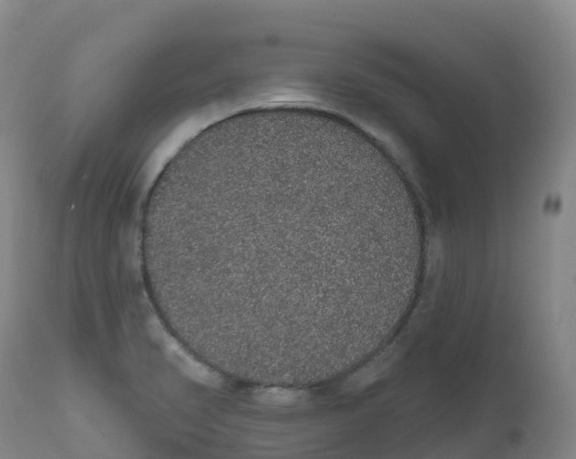 X0000111831374200908131536