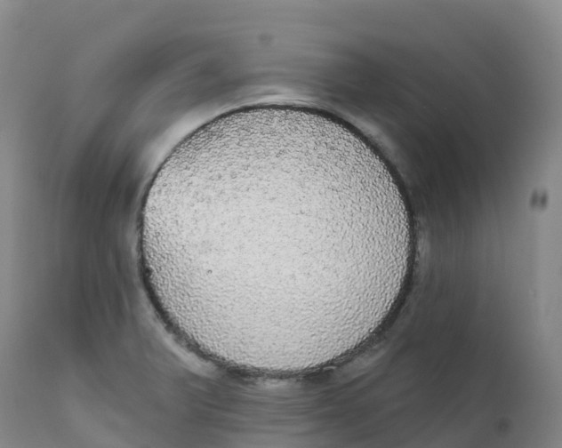 X0000111831375200908131536