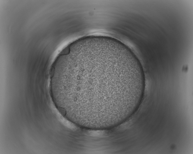 X0000111831376200908131536