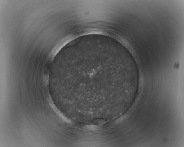 X0000111831377200908131536