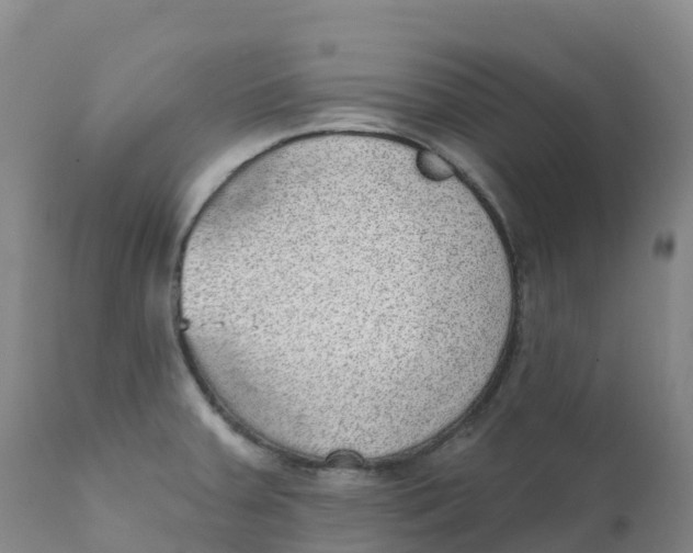 X0000111831379200908131536