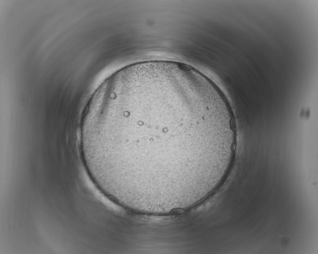 X0000111831381200908131536