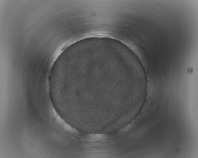 X0000111831382200908131536