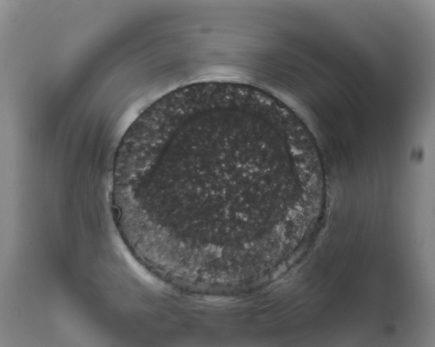 X0000111831383200908131536