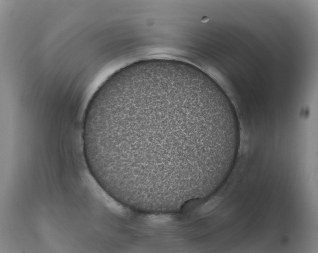 X0000111831384200908131536