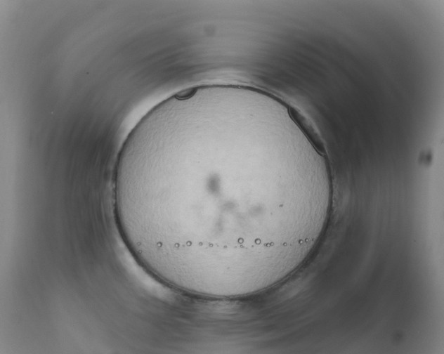 X0000111831387200908131536