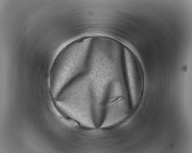 X0000111831388200908131536