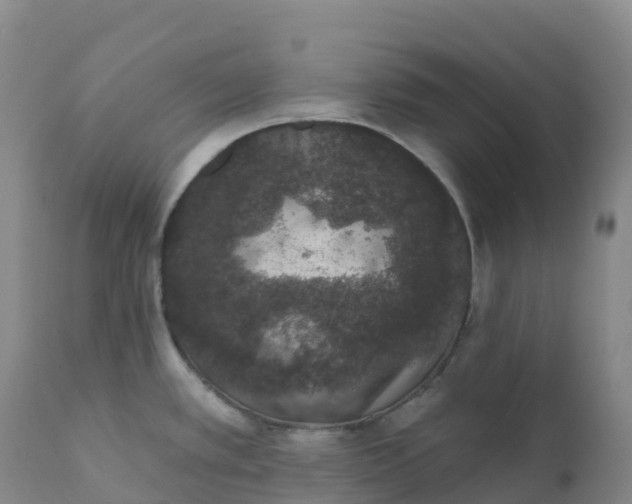 X0000111831389200908131536