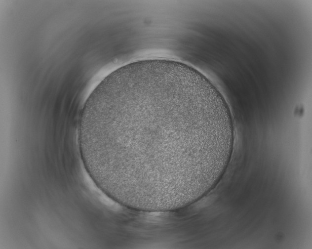 X0000111831390200908131536