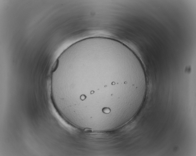 X0000111831391200908131536