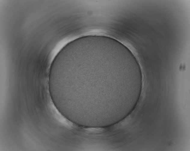 X0000111831392200908131535