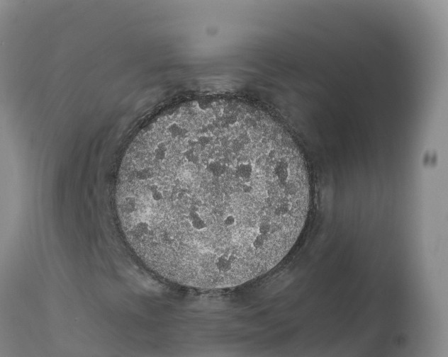 X0000111831393200908131535