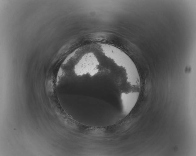 X0000111831394200908131535