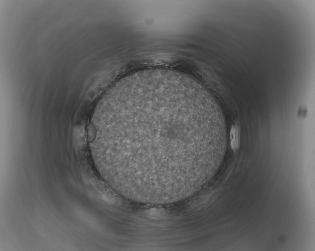 X0000111831395200908131535