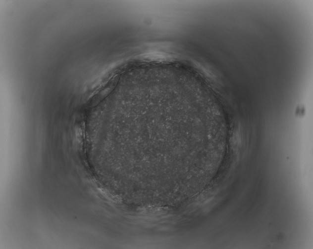 X0000111831397200908131535