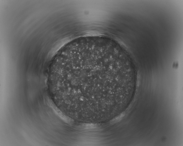 X0000111831401200908131535