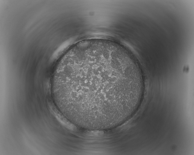 X0000111831403200908131535