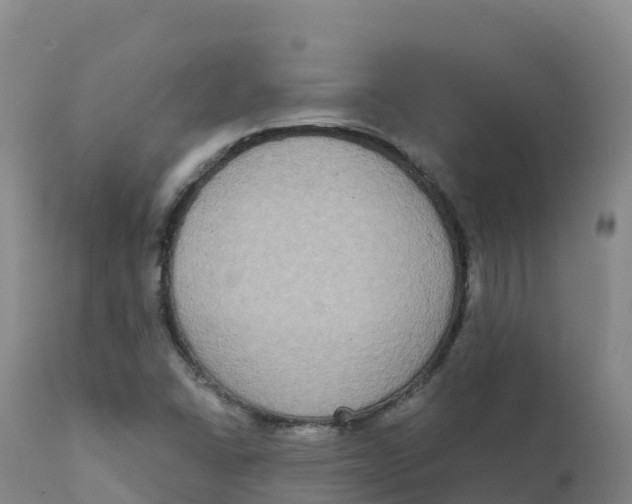 X0000111831406200908131535