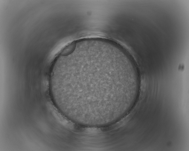 X0000111831407200908131535