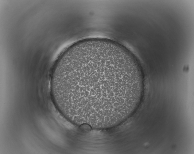 X0000111831408200908131535