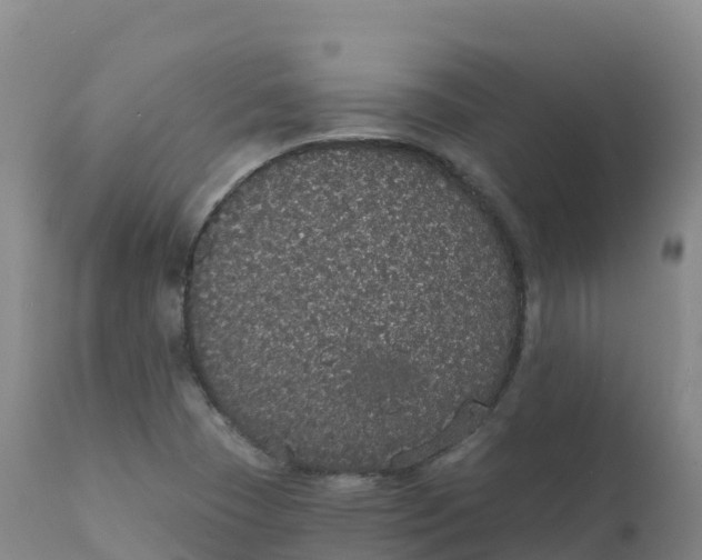 X0000111831409200908131535