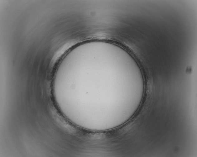 X0000111831410200908131535