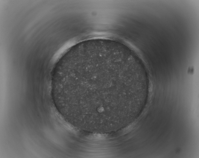 X0000111831411200908131535