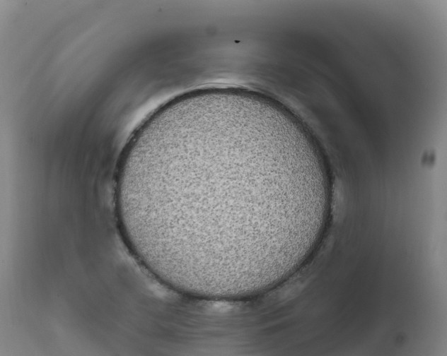 X0000111831412200908131535