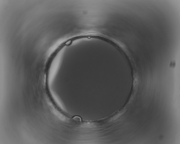 X0000111831414200908131535