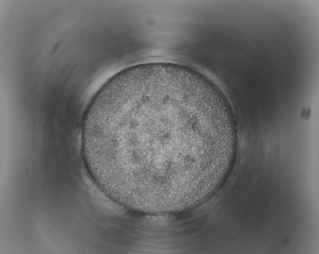 X0000111831415200908131535