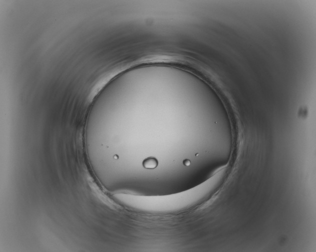 X0000111831417200908131535