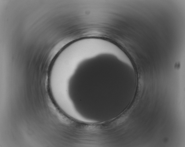 X0000111831418200908131535