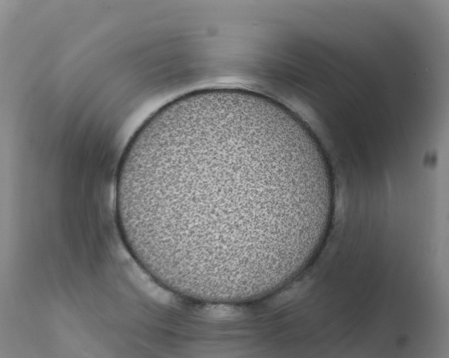 X0000111831420200908131535