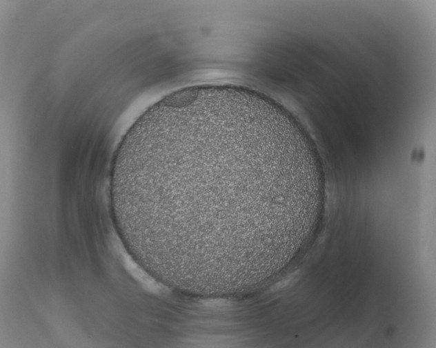 X0000111831421200908131535