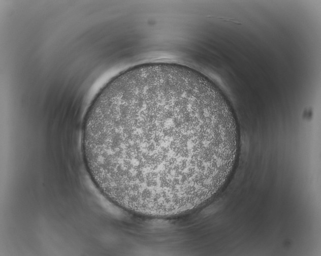 X0000111831424200908131535