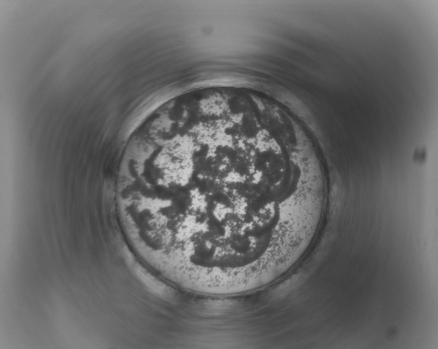 X0000111831425200908131535