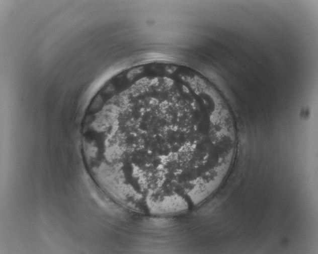 X0000111831427200908131535